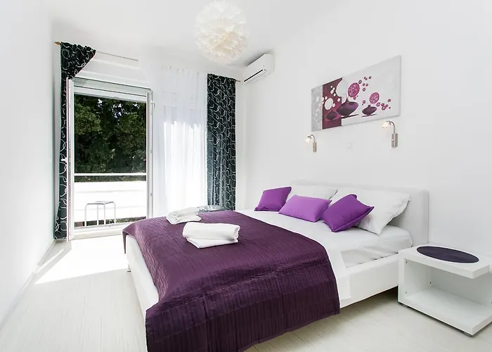 Apartment Purple Magic